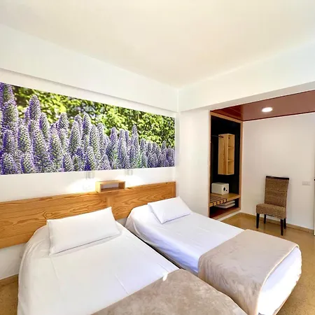 Eden Hotel Los Llanos De Aridane
